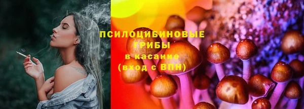 хмурый Алзамай