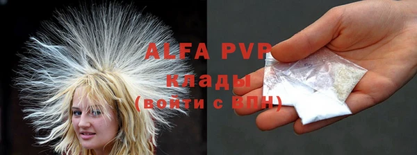 хмурый Алзамай
