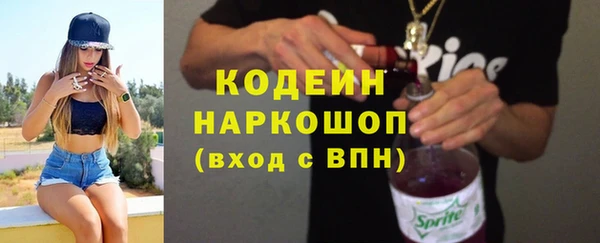 хмурый Алзамай