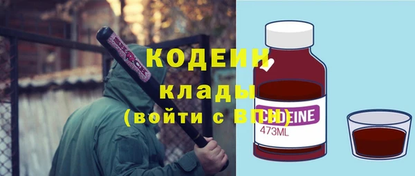 хмурый Алзамай