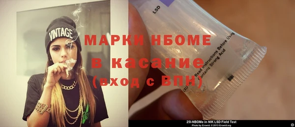 хмурый Алзамай
