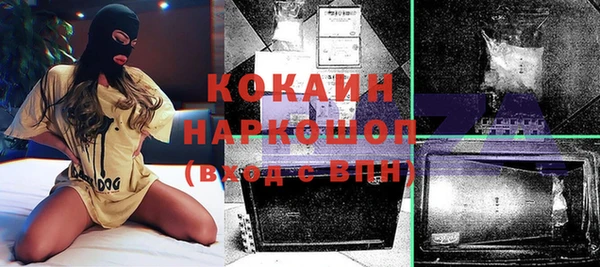 хмурый Алзамай