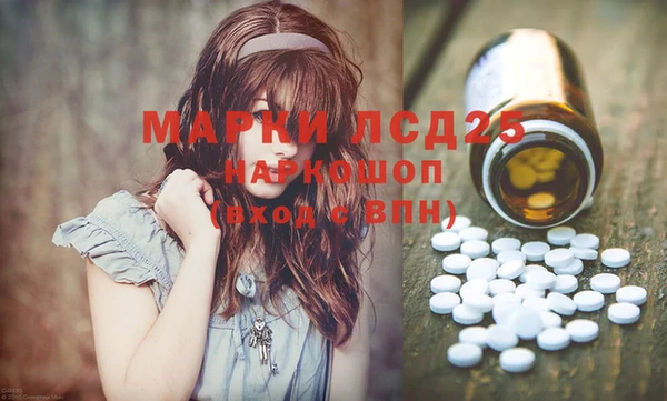 хмурый Алзамай