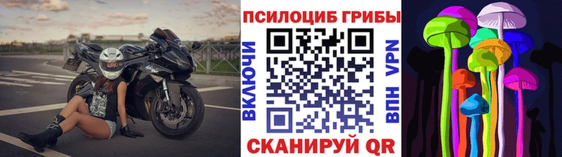 наркошоп  Батайск  Псилоцибиновые грибы Magic Shrooms 